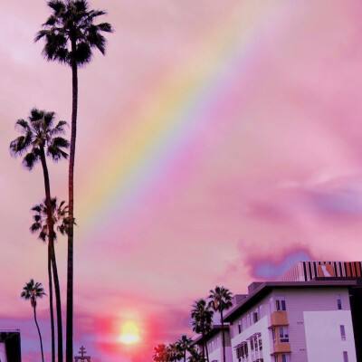 澳门威斯尼斯WNS888入口手机app下载