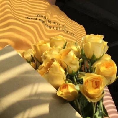 星空体育app下载手机app下载