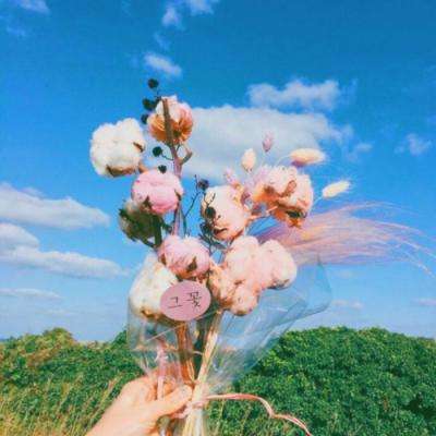 Bsports网页版登录