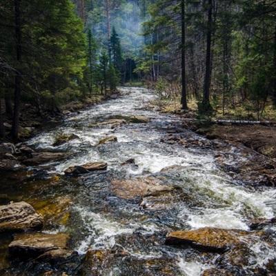 九游会AGapp下载